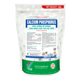  CALCIUM PHOSPHORUS 