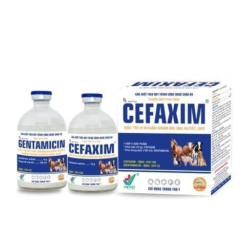  CEFAXIM 