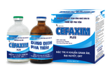  CEFAXIM PLUS 