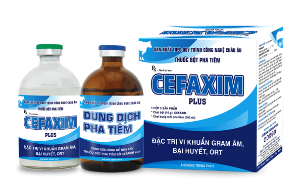  CEFAXIM PLUS 