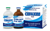  CEFAXIM PLUS 