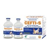  CEFTI-S 