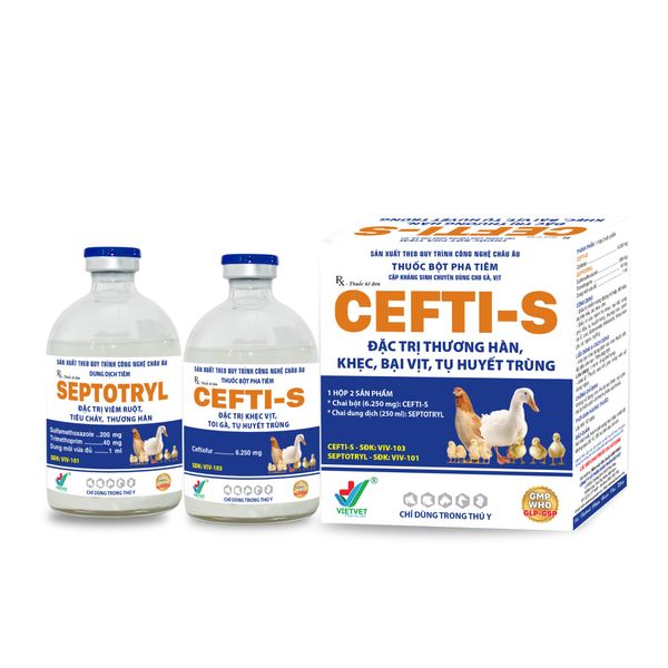  CEFTI-S 