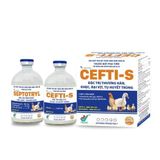  CEFTI-S 