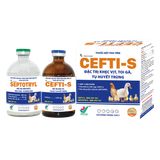  CEFTI-S 