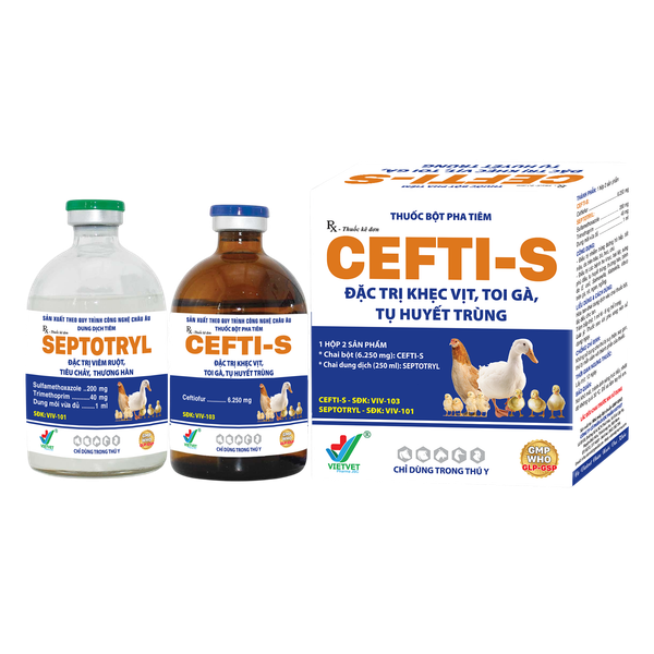  CEFTI-S 