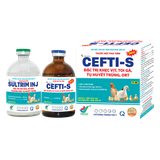  CEFTI-S NEW 