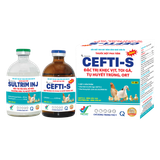  CEFTI-S NEW 