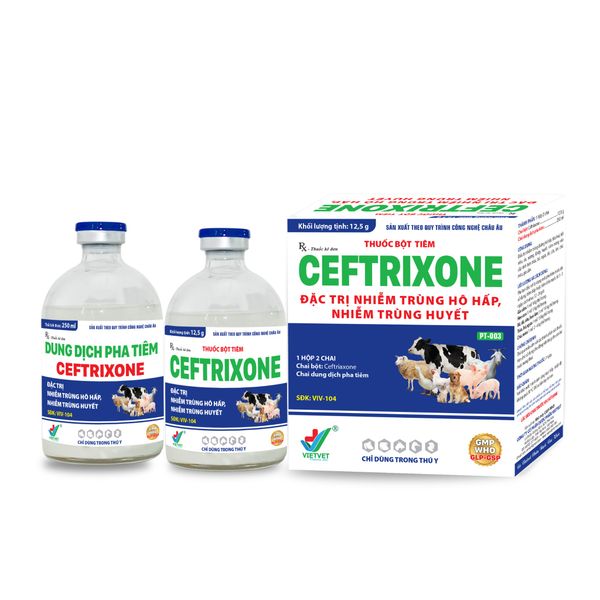  CEFTRIXONE 