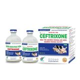  CEFTRIXONE 