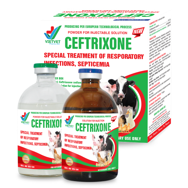  CEFTRIXONE NEW 