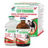  CEFTRIXONE NEW 