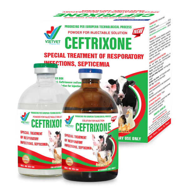 CEFTRIXONE NEW