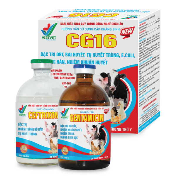  CG 16 NEW 