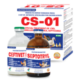  CS - 01 