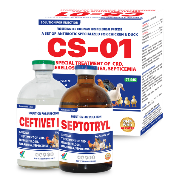  CS - 01 
