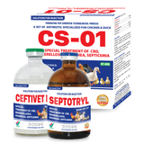  CS - 01 