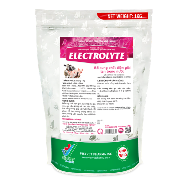  ELECTROLYTE 