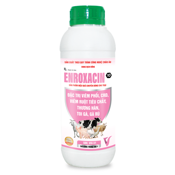  ENROXACIN 10 