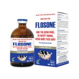 FLOSONE 