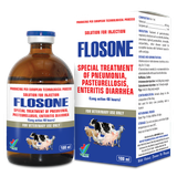  FLOSONE 