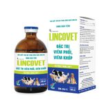  LINCOVET 
