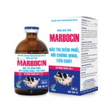  MARBOCIN 