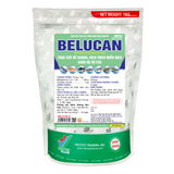 BELUCAN 