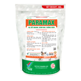  PARAMAX 
