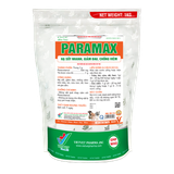  PARAMAX 