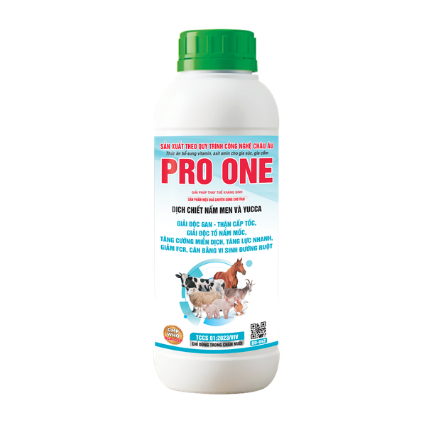 PRO ONE
