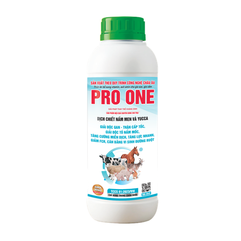  PRO ONE 