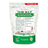  TILMI W.S.P 