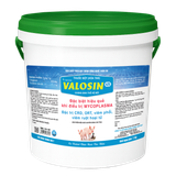  VALOSIN (425) 