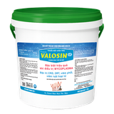  VALOSIN (425) 
