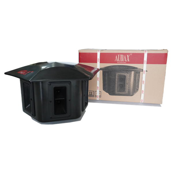 Loa chùm 6D AX-93 HEX