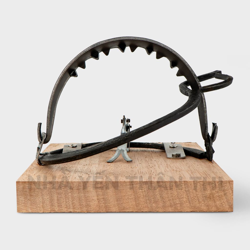 Bẫy cú lớn (có tấm gỗ)