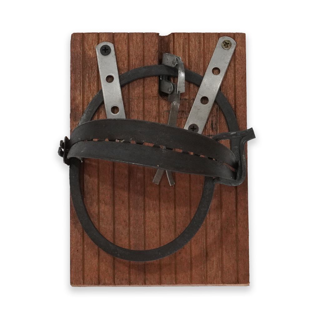 Bẫy cú lớn (có tấm gỗ)