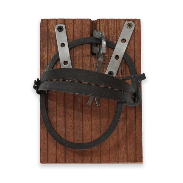 Bẫy cú lớn (có tấm gỗ)