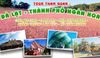  TOUR NHA TRANG – ĐÀ LẠT KHÁM PHÁ THÀNH PHỐ NGÀN HOA 