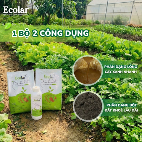  [COMBO] 1 Phân bón hữu cơ Ecolar Mạch Đất và 1 Dòng Chảy Dịu Lành - Giúp cây bung đọt, kích rễ, tăng năng suất 