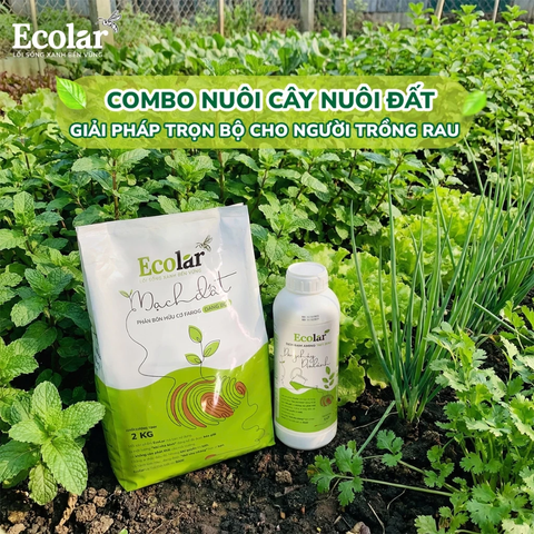  [COMBO] 1 Phân bón hữu cơ Ecolar Mạch Đất và 1 Dòng Chảy Dịu Lành - Giúp cây bung đọt, kích rễ, tăng năng suất 