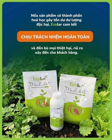  [COMBO] 1 Phân bón hữu cơ Ecolar Mạch Đất và 1 Dòng Chảy Dịu Lành - Giúp cây bung đọt, kích rễ, tăng năng suất 