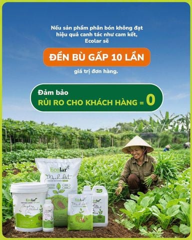  [COMBO] 1 Phân bón hữu cơ Ecolar Mạch Đất và 1 Dòng Chảy Dịu Lành - Giúp cây bung đọt, kích rễ, tăng năng suất 