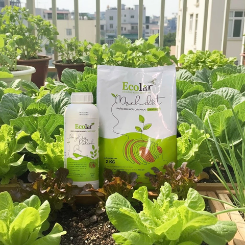  [COMBO] 1 Phân bón hữu cơ Ecolar Mạch Đất và 1 Dòng Chảy Dịu Lành - Giúp cây bung đọt, kích rễ, tăng năng suất 