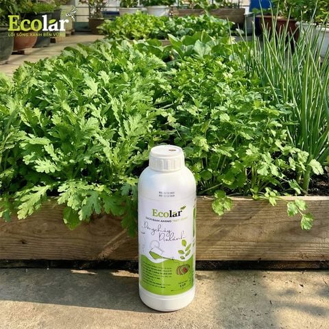  Phân Bón Ecolar Dòng Chảy Dịu Lành 1L 