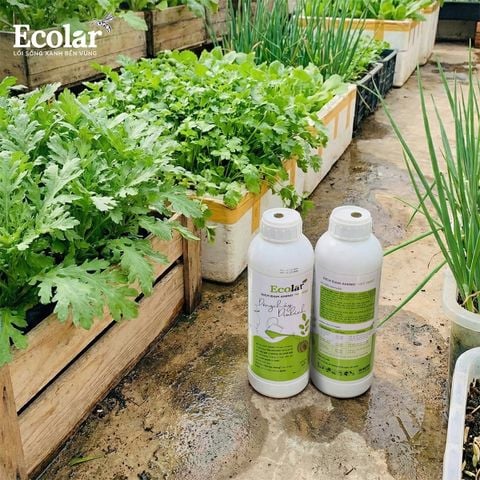  Phân Bón Ecolar Dòng Chảy Dịu Lành 1L 