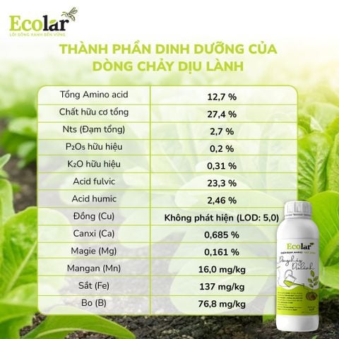  Phân Bón Ecolar Dòng Chảy Dịu Lành 1L 