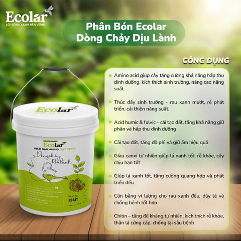  Phân Bón Ecolar Dòng Chảy Dịu Lành 20L 