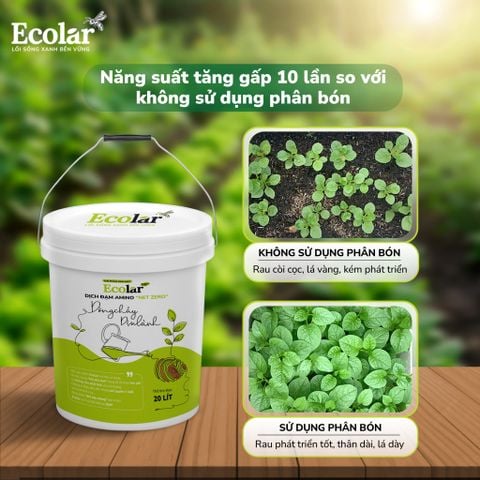  Phân Bón Ecolar Dòng Chảy Dịu Lành 20L 